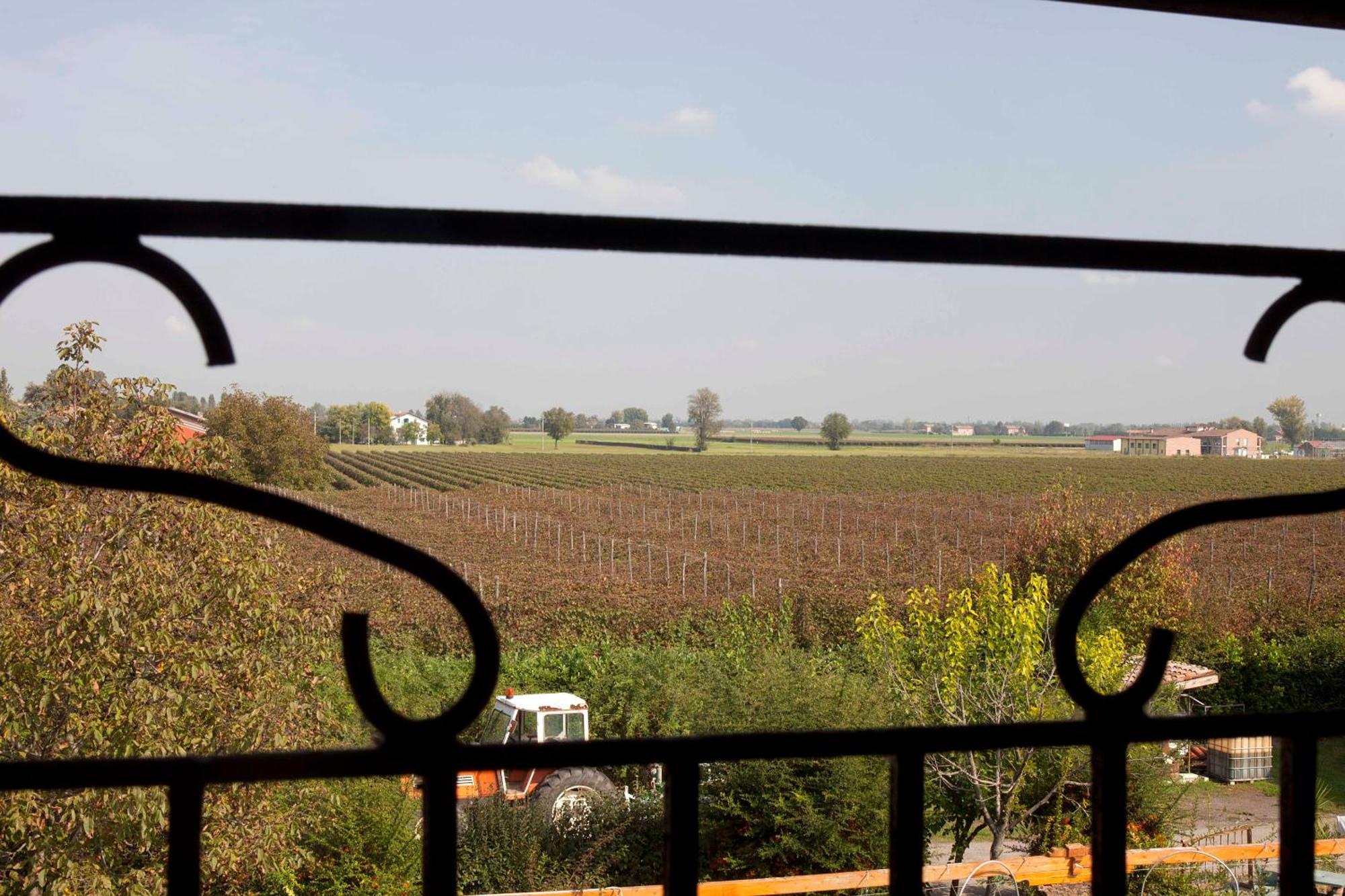 Agriturismo Il Bove Reggio nell'Emilia Exterior foto
